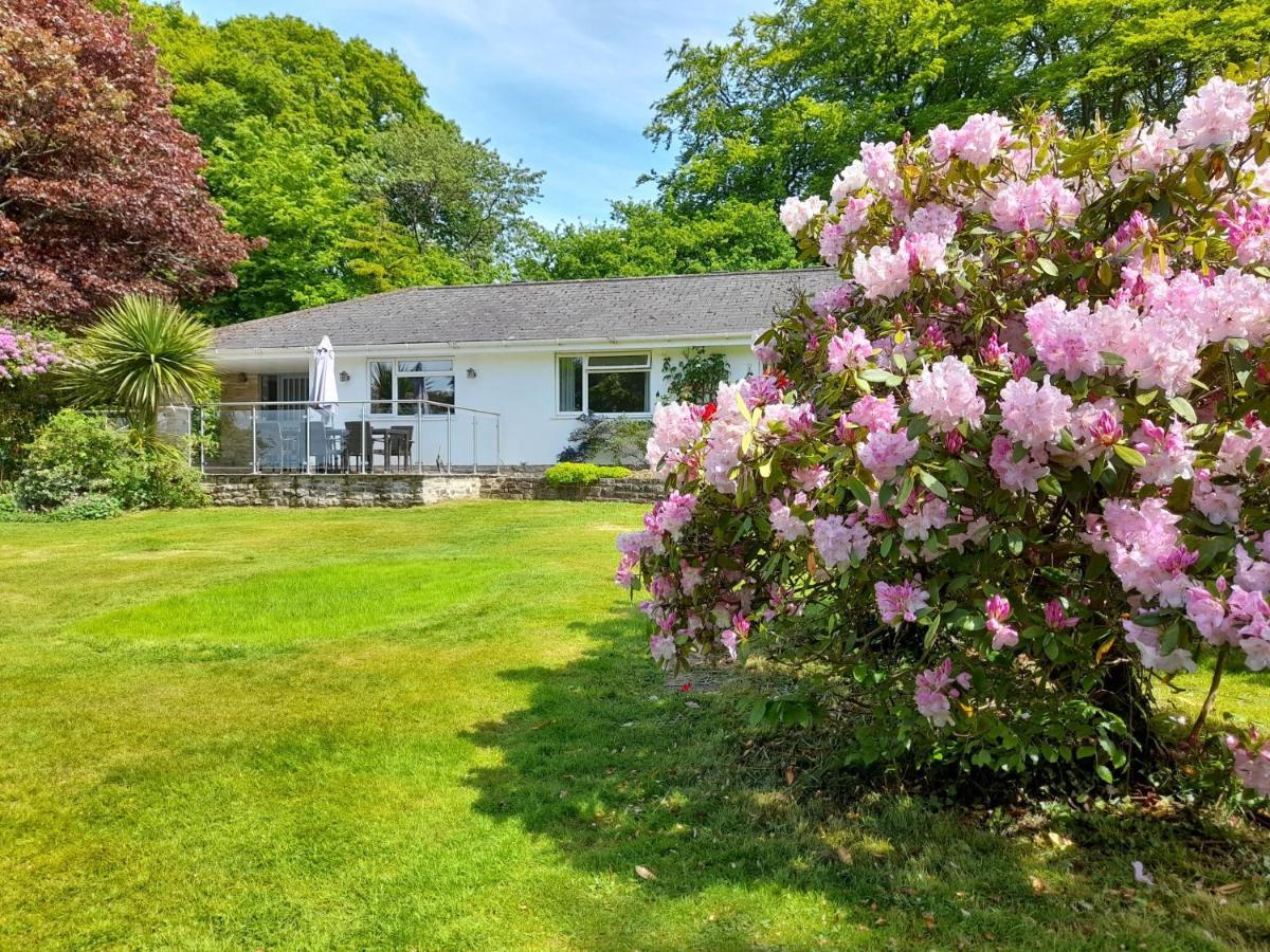 Fairwater Head Axminster Exterior foto