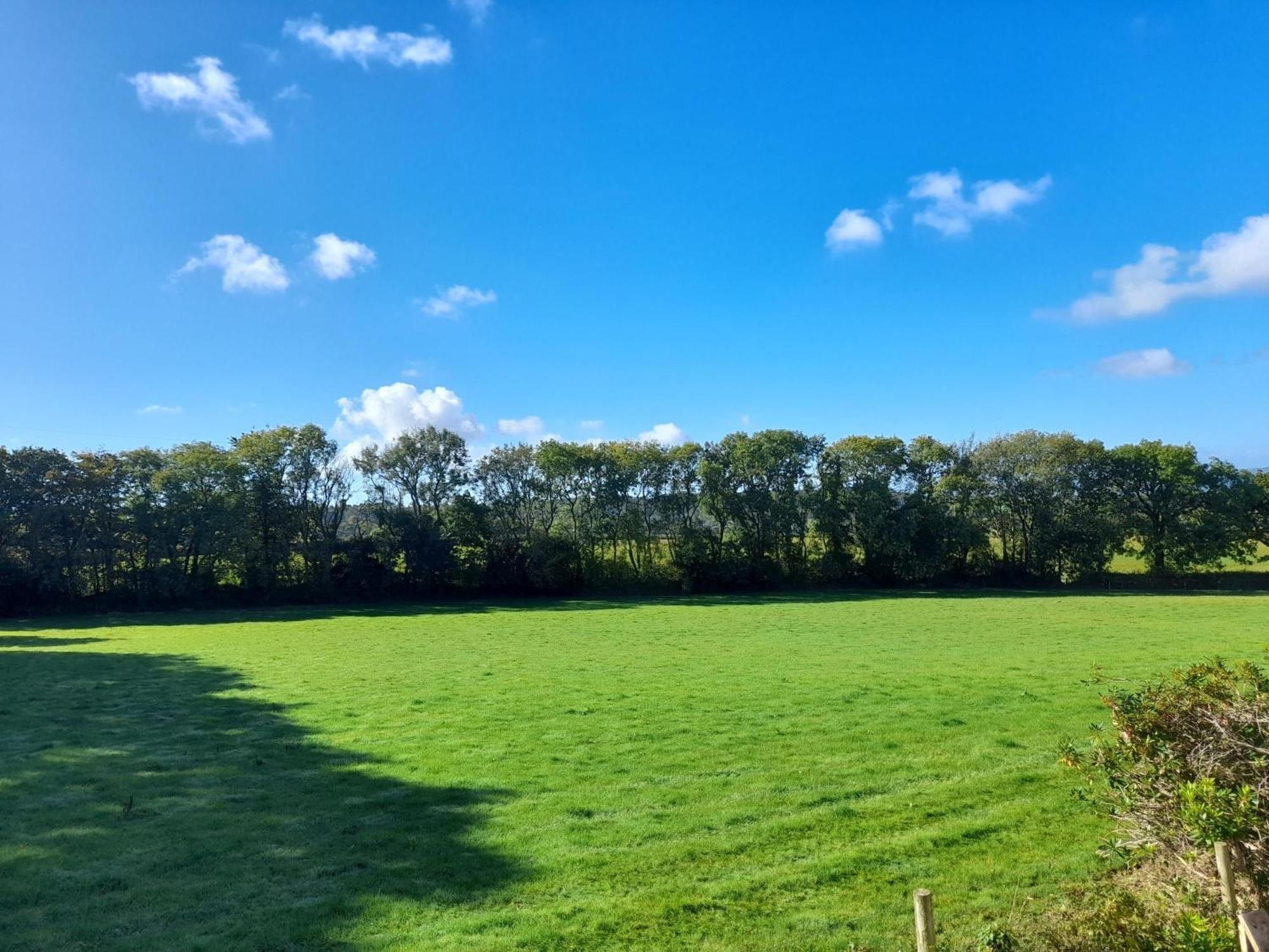 Fairwater Head Axminster Quarto foto